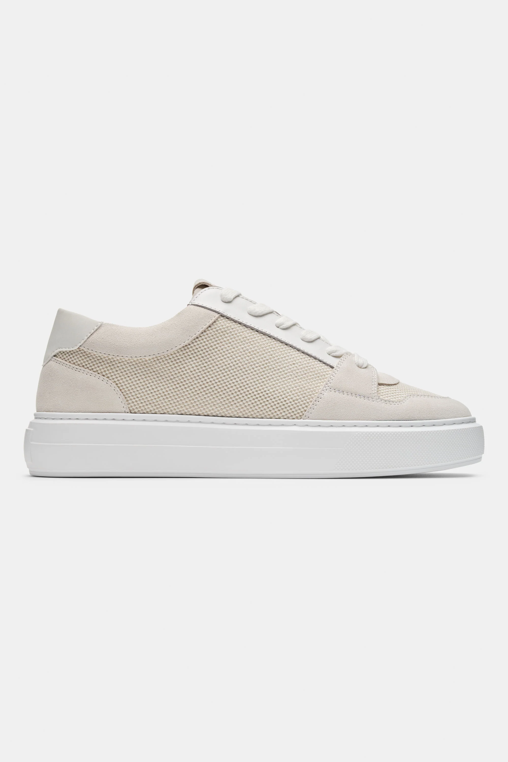 THE PAVIO TRAINER - Image 13