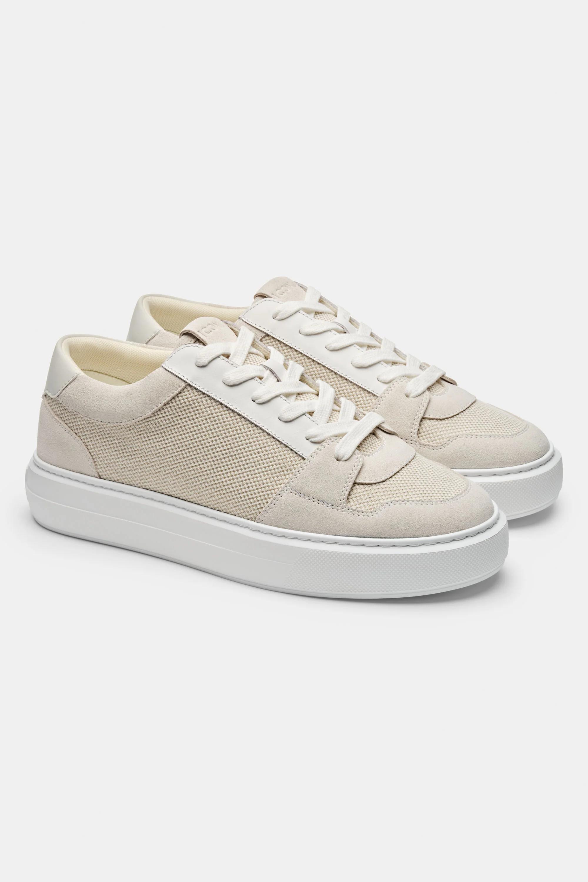 THE PAVIO TRAINER - Image 14
