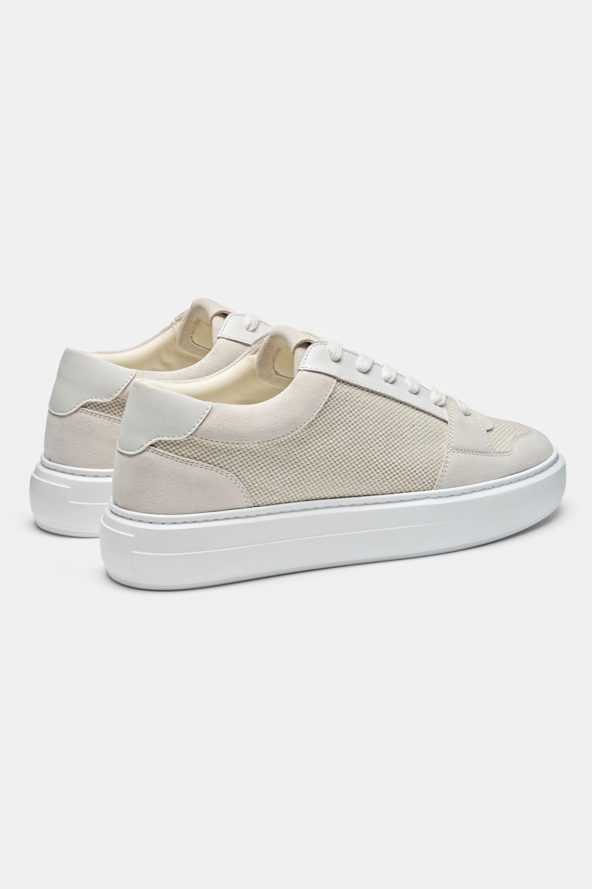 THE PAVIO TRAINER - Image 15