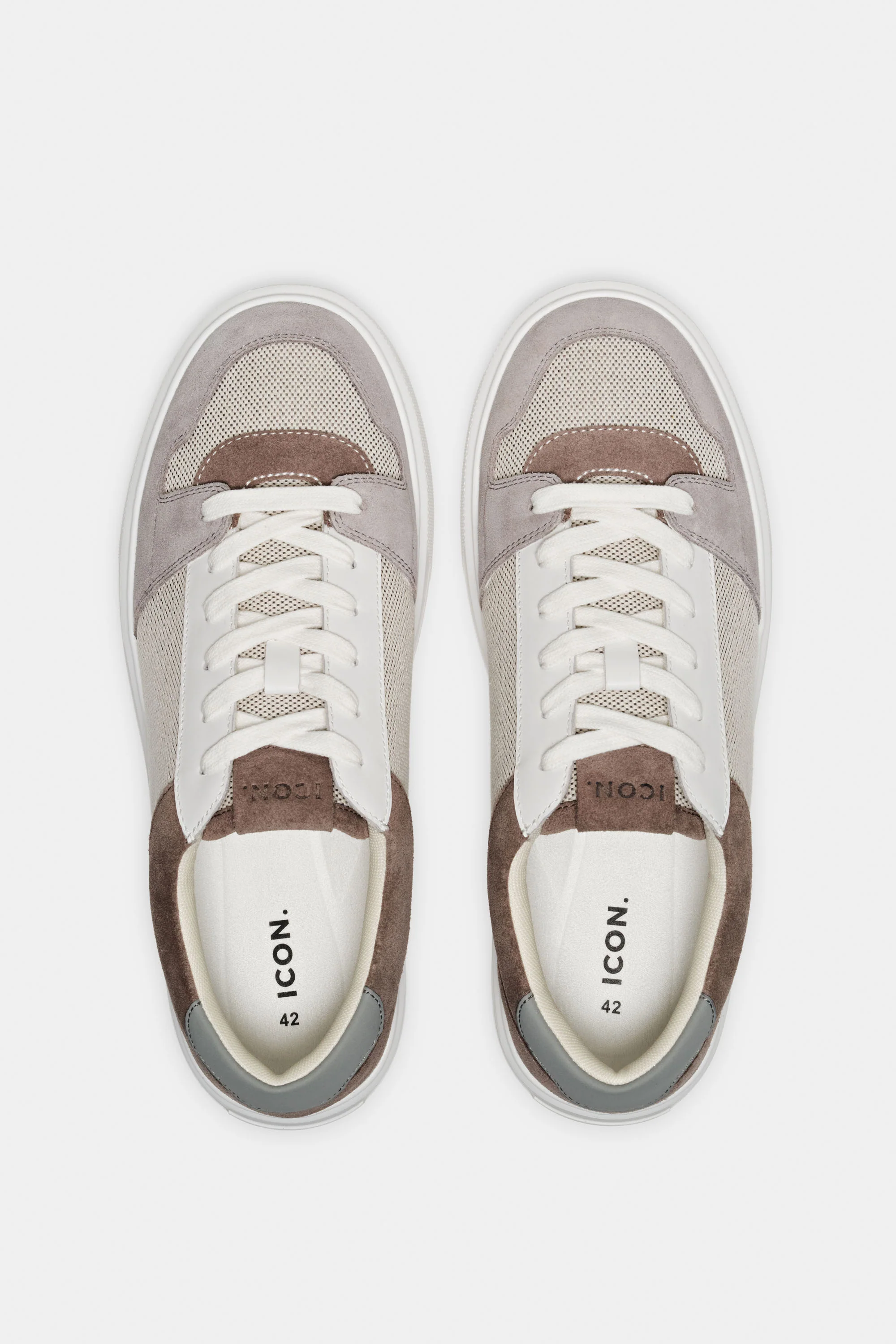 THE PAVIO TRAINER - Image 4