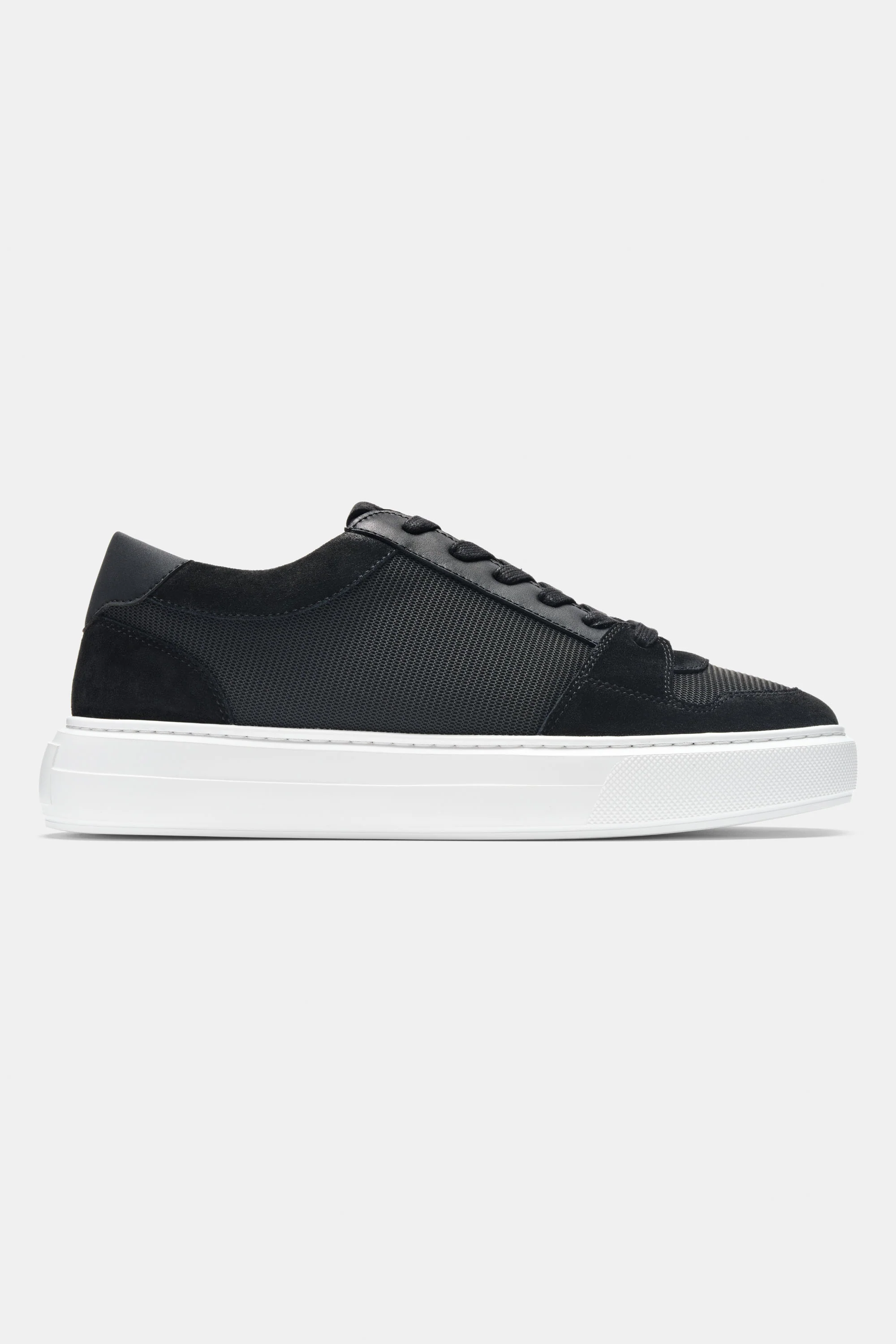 THE PAVIO TRAINER - Image 7