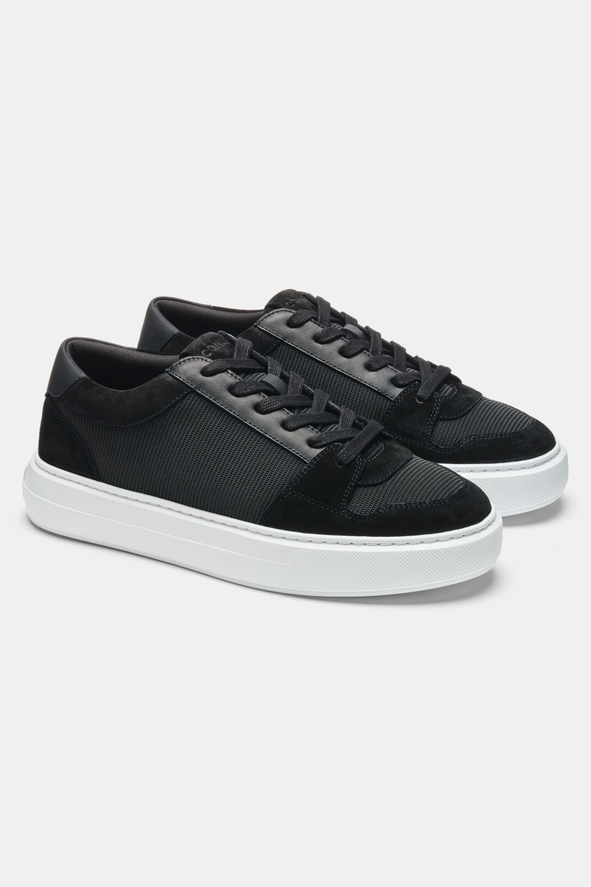 THE PAVIO TRAINER - Image 8
