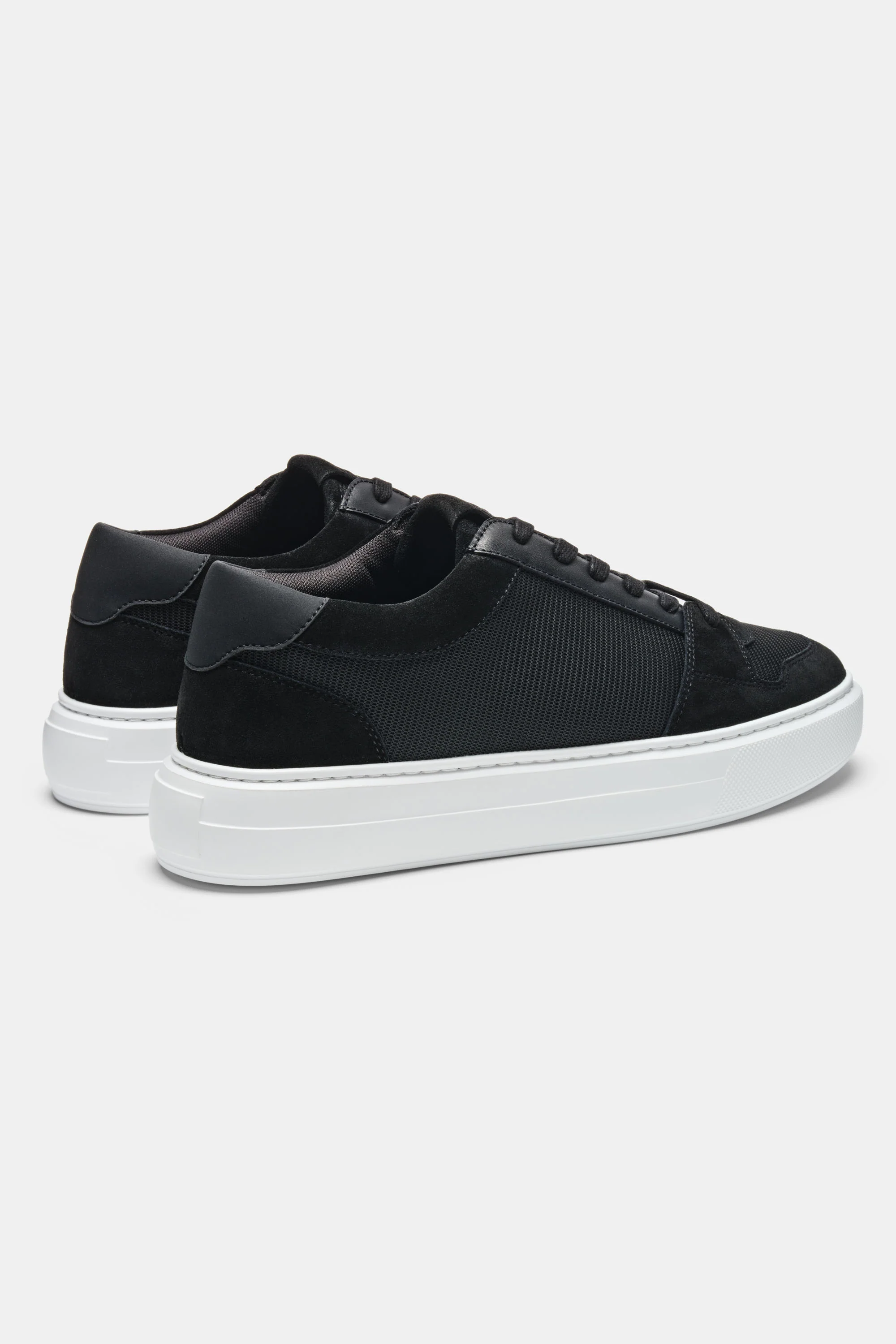 THE PAVIO TRAINER - Image 9